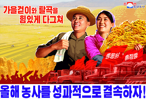 [NK Focus] 썸네일